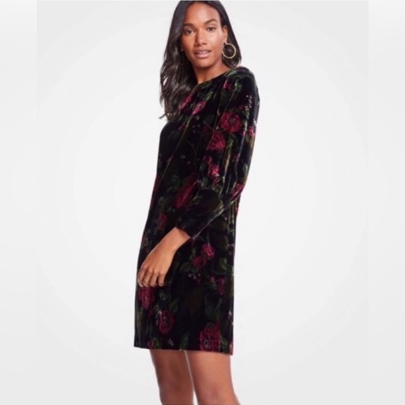 🌸NEW Ann Taylor Black Floral Velvet Dress Size 2P - Picture 1 of 5